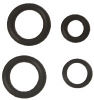 Chapin Discharge Repair Kit