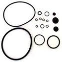 Chapin Spray N Go Repair Gasket Kit